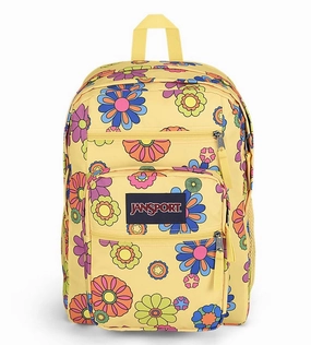 Big Student Backpack