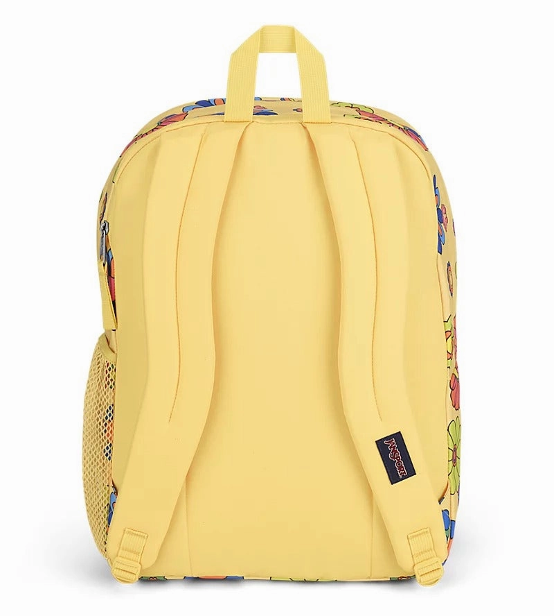 Big Student Backpack