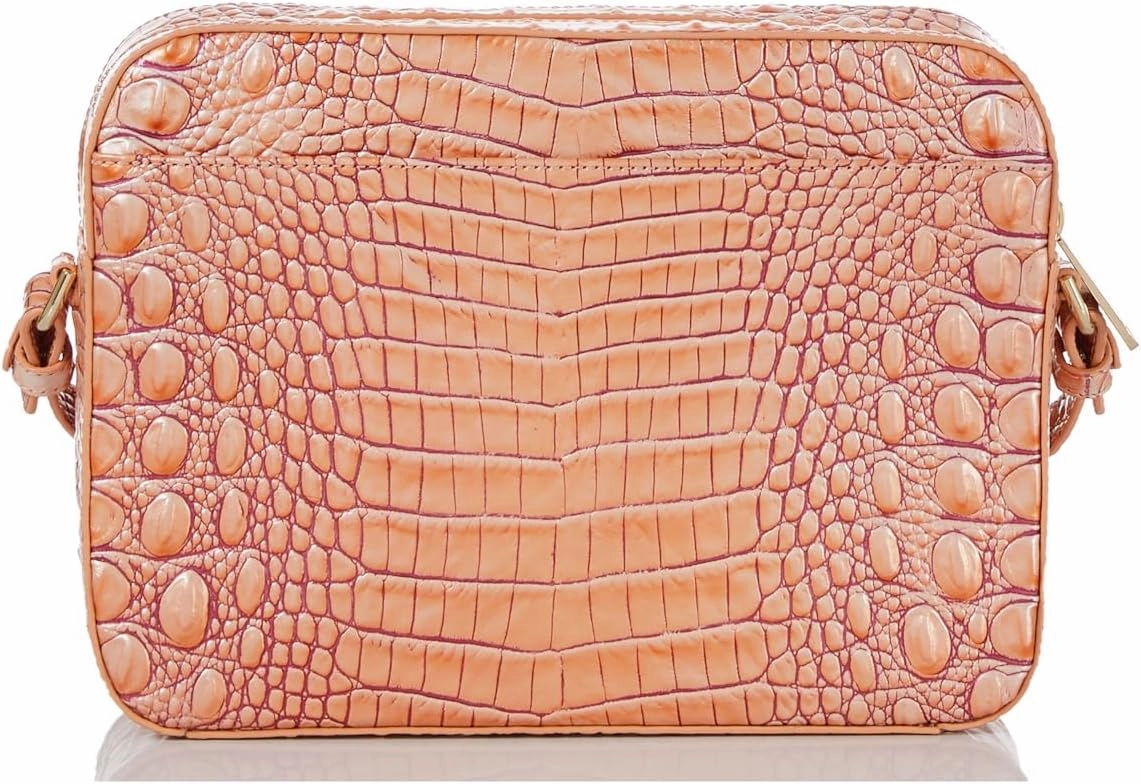 BRAHMIN Shea