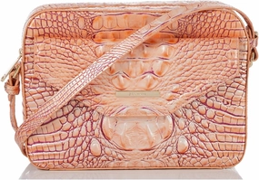 BRAHMIN Shea