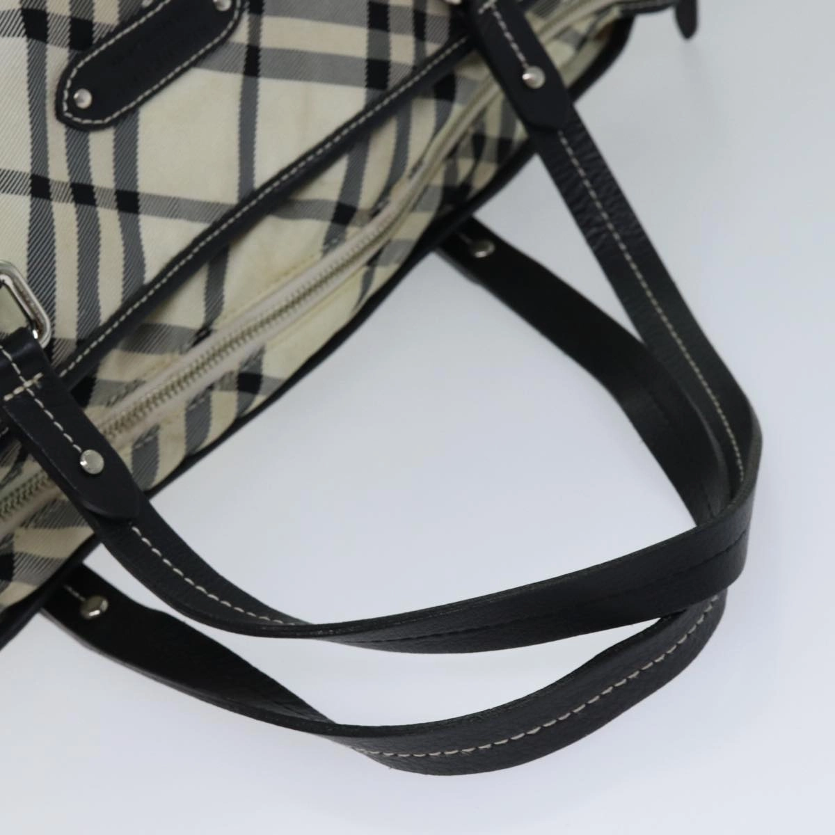 Burberry blue Label  Canvas Tote Bag (Pre-Owned)