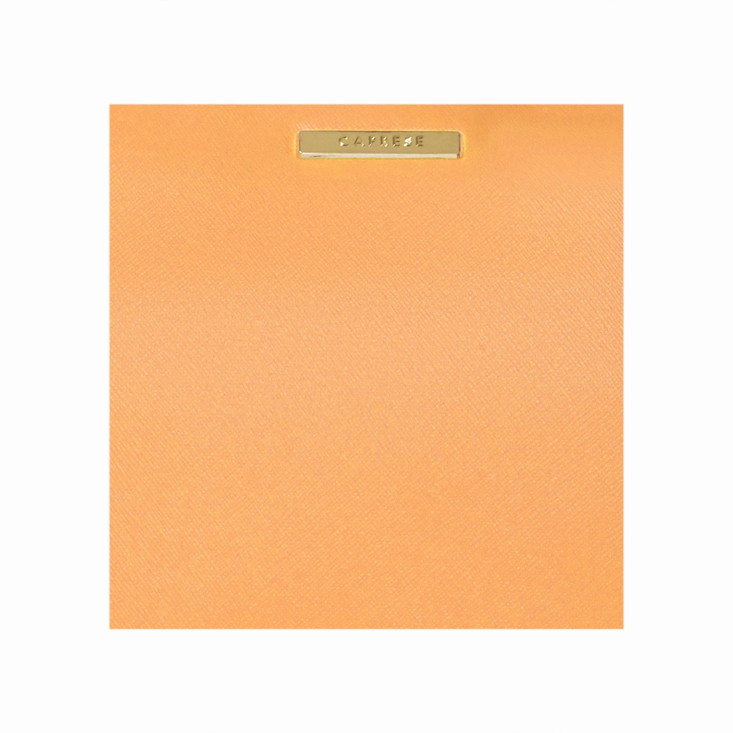 Caprese Evie Large Orange Tote Bag