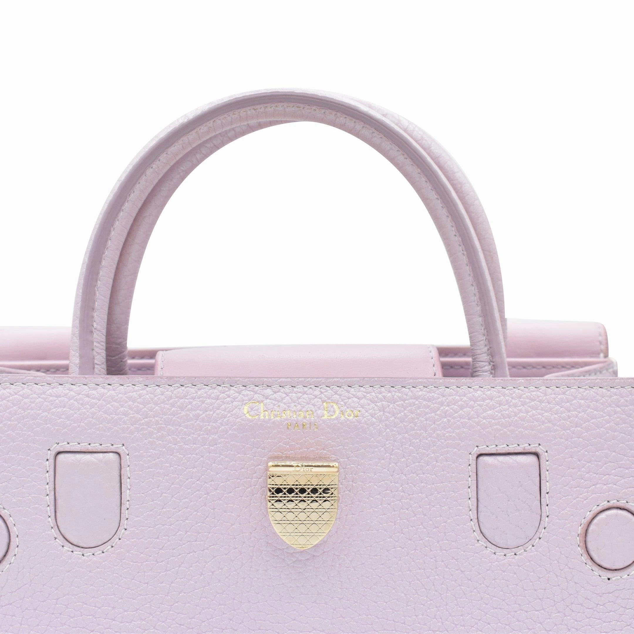 Christian Dior 'Diorever' Bag
