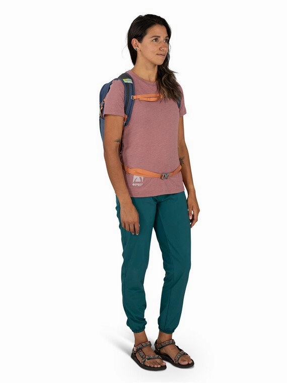 Daylite Backpack