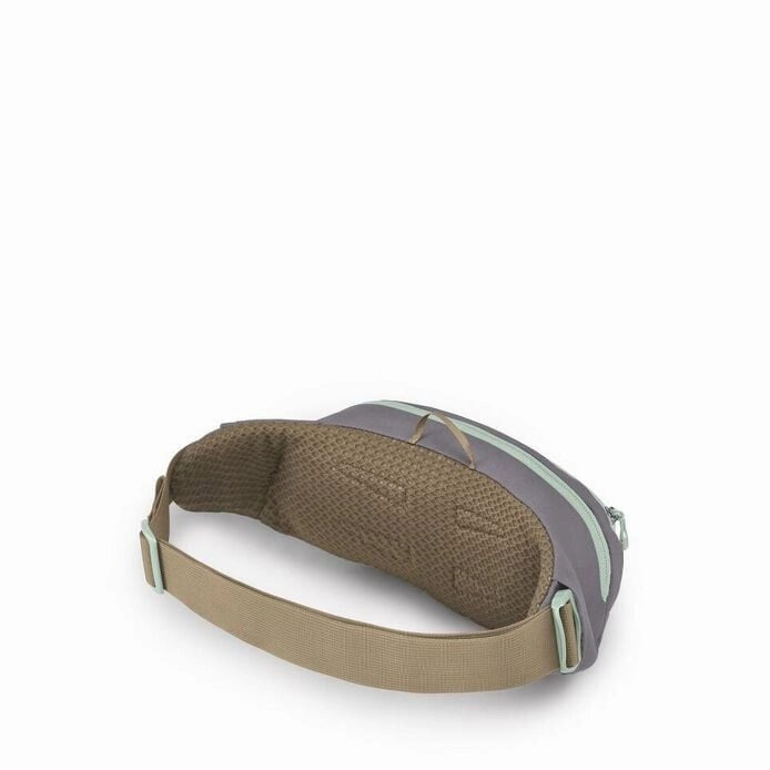Daylite Waist