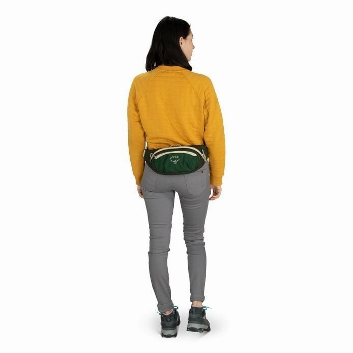 Daylite Waist