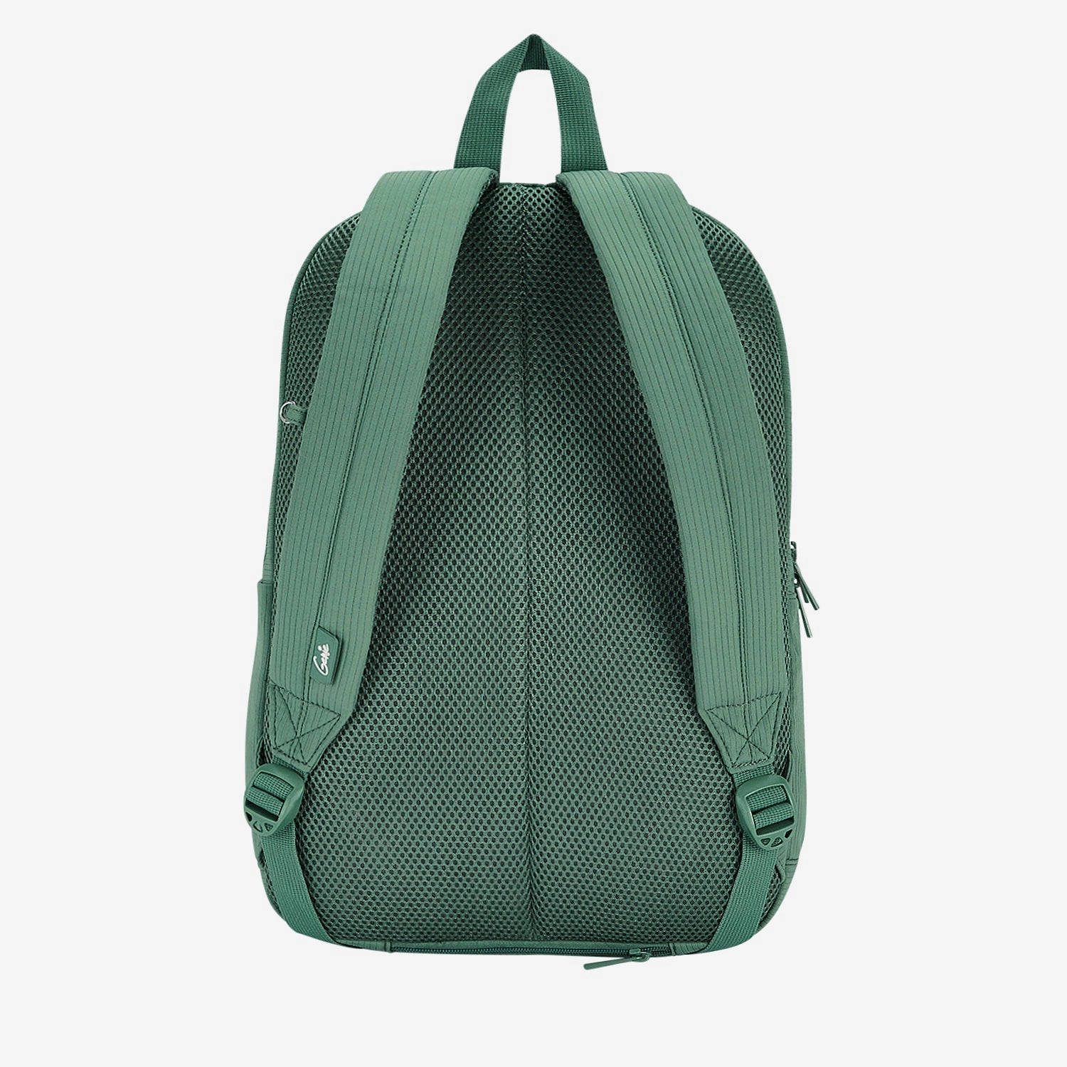 Essence 28L Laptop Backpack With Raincover