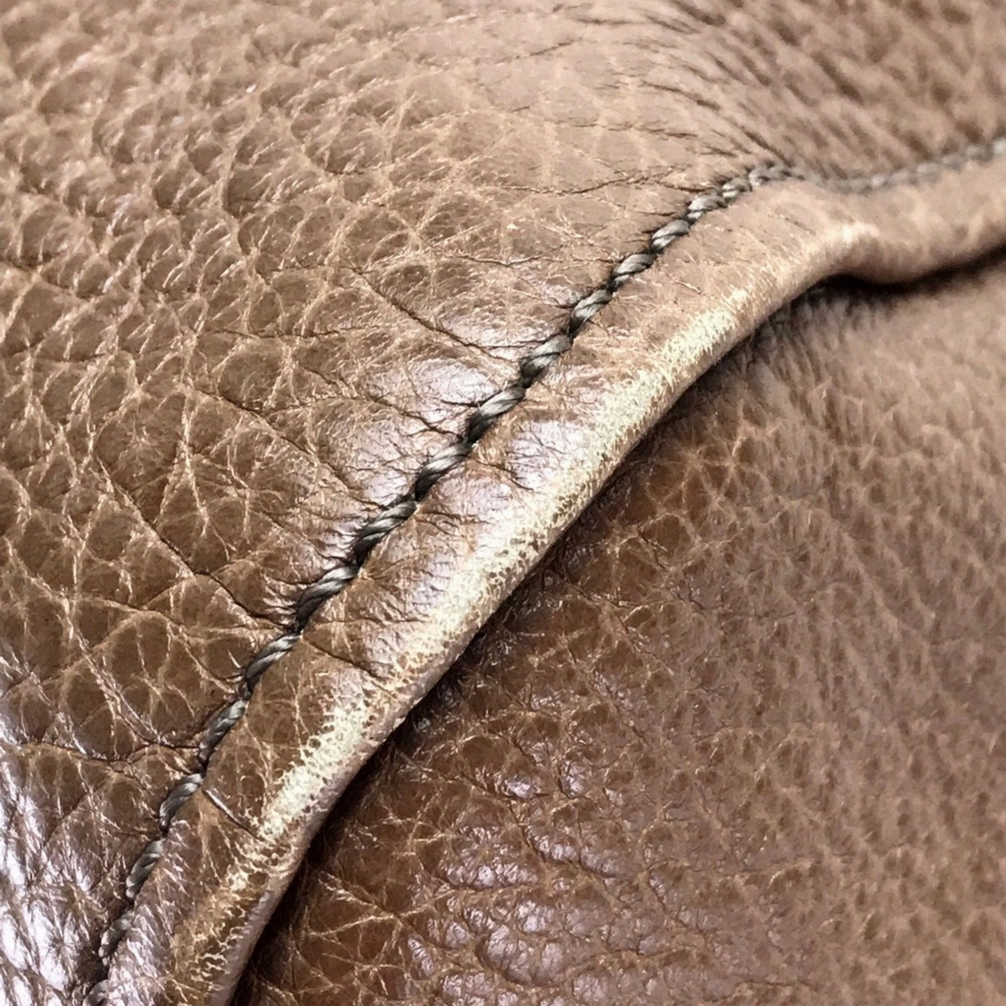 Fendi Chameleon Leather Tote Bag (Pre-Owned)
