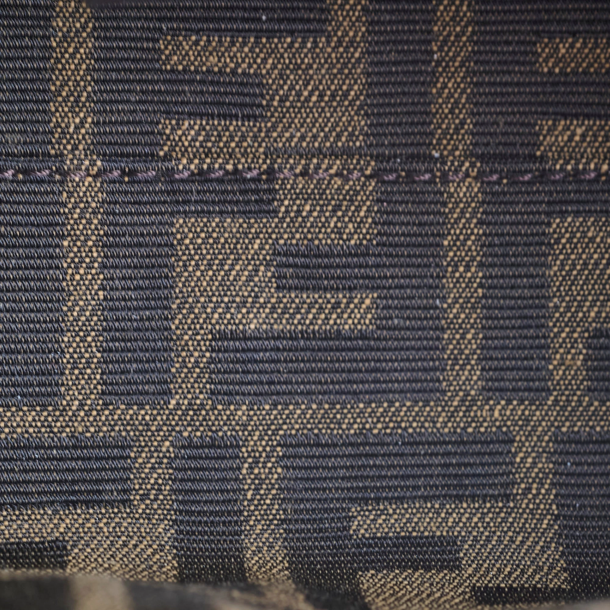 Fendi Mini By The Way Canvas