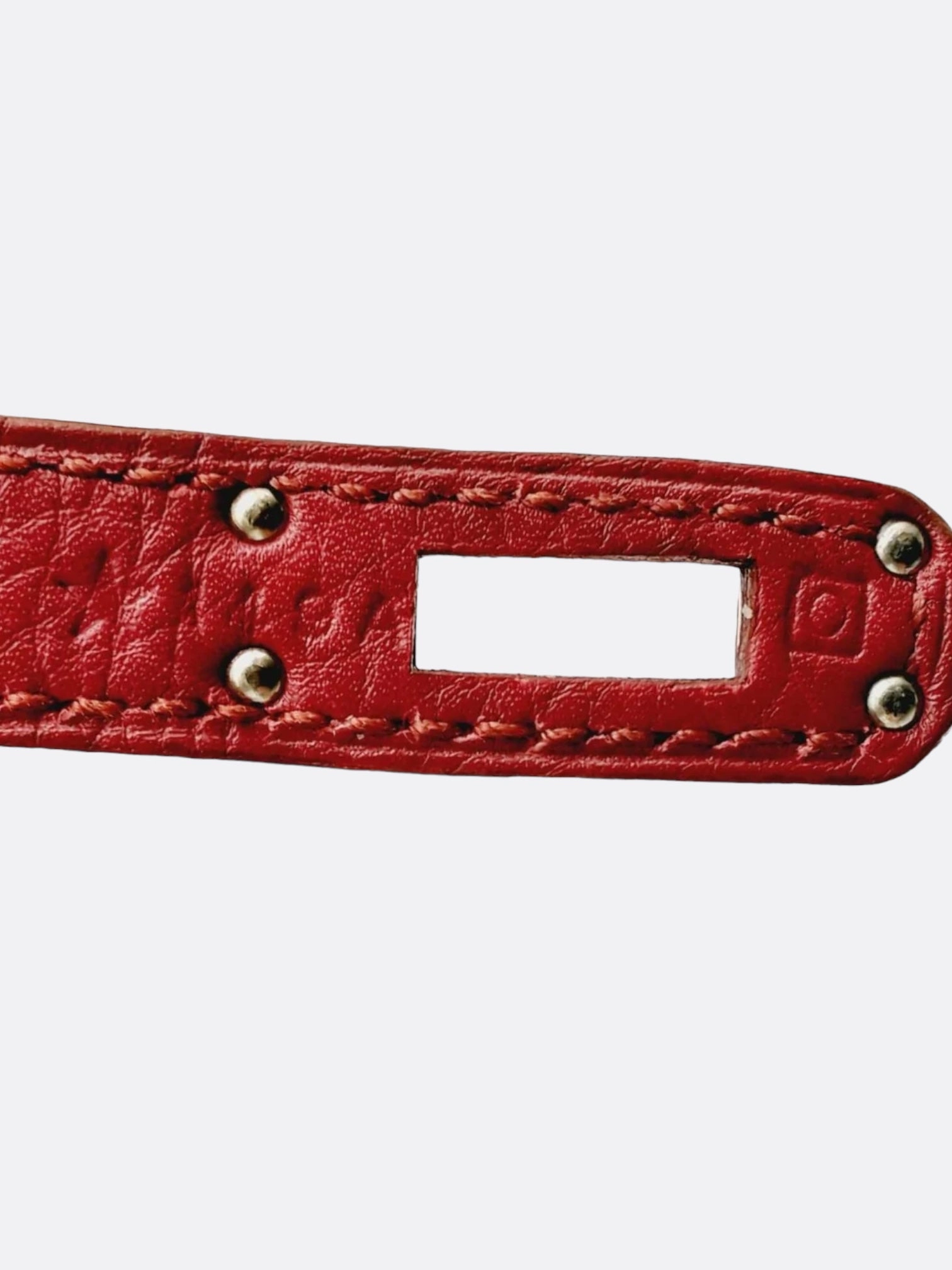 Hermes Rubis Red Togo Birkin 25