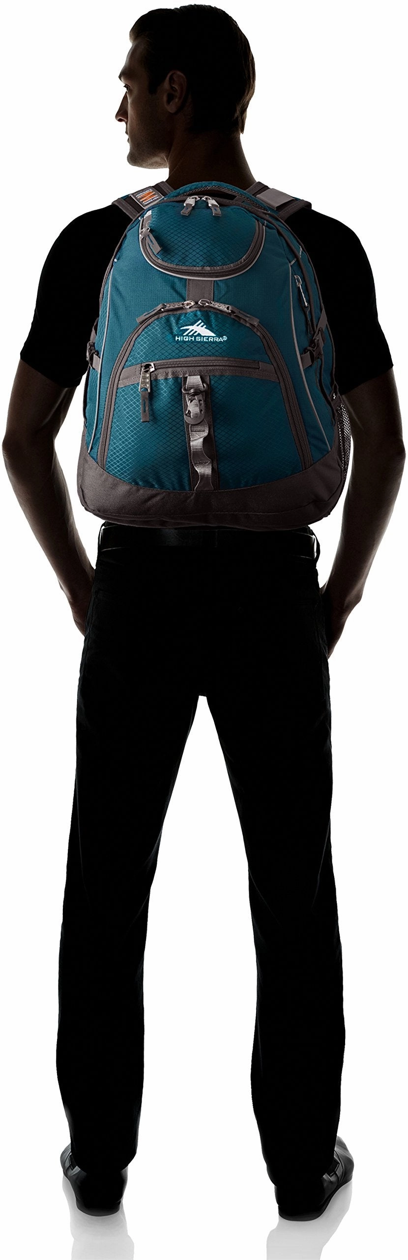 High Sierra Access Backpack