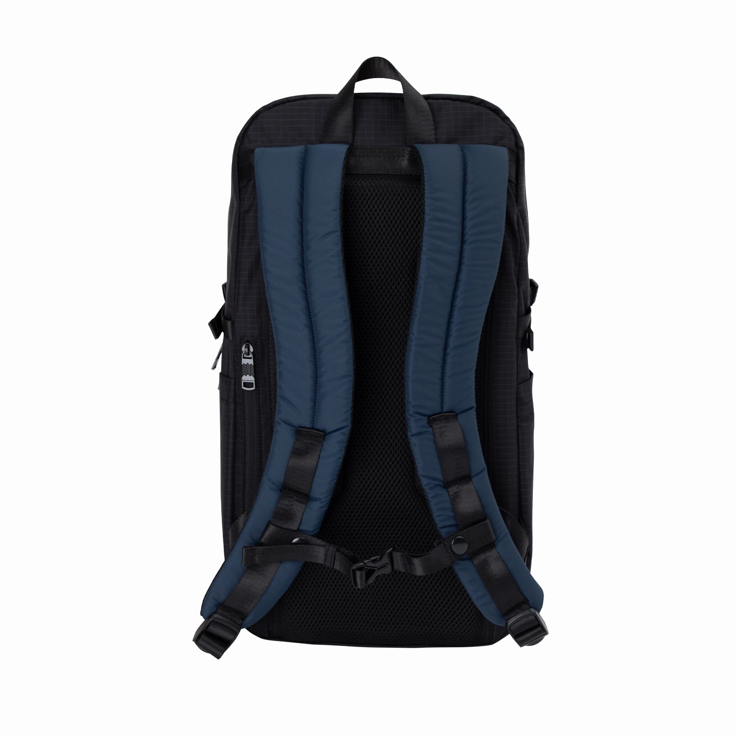 Hypatia Street Cruise Series Backpack
