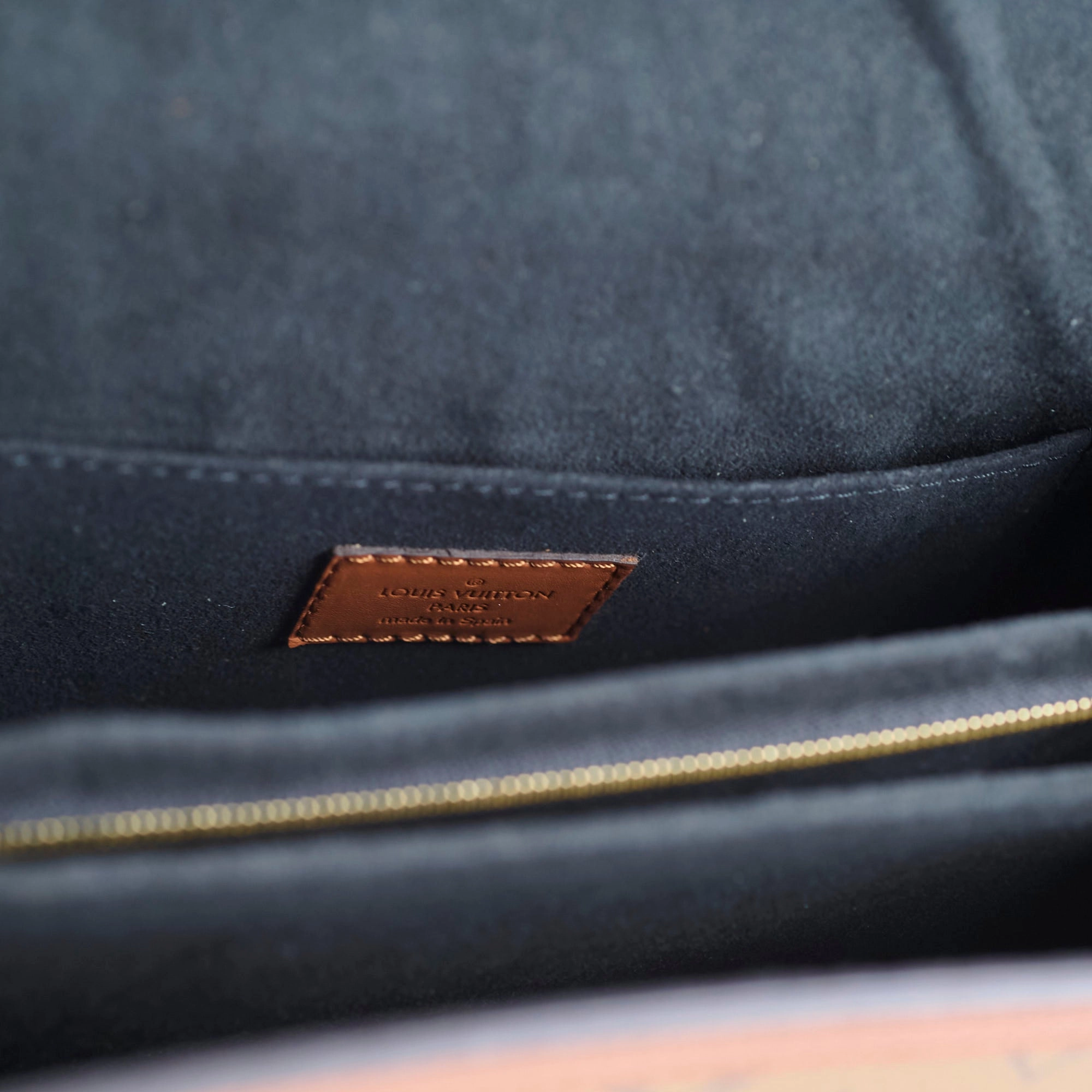 Louis Vuitton Dauphine Reverse Monogram Microchip