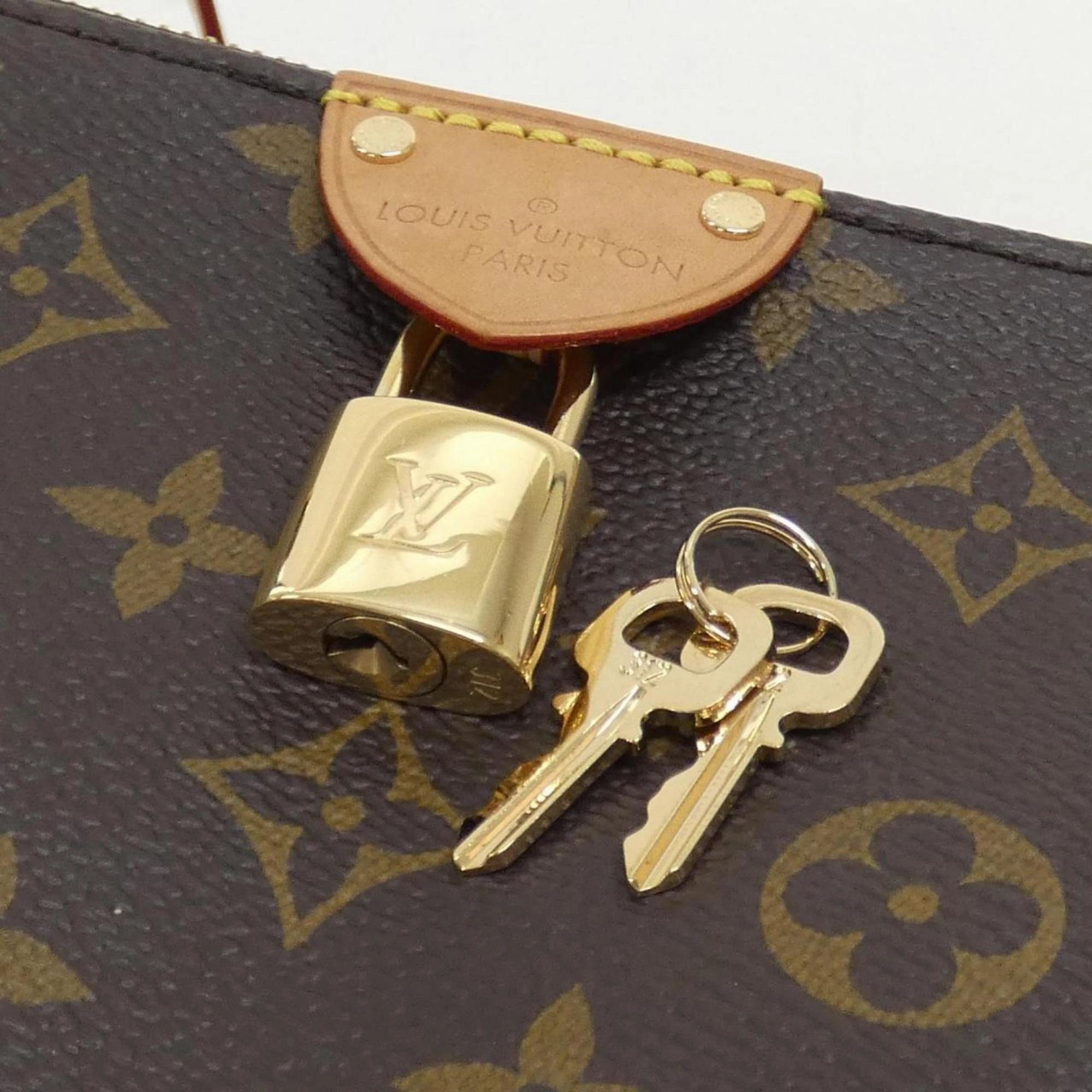 Louis Vuitton Marron Monogram Monogram Pochette Shoulder Bag (Pre-Owned)