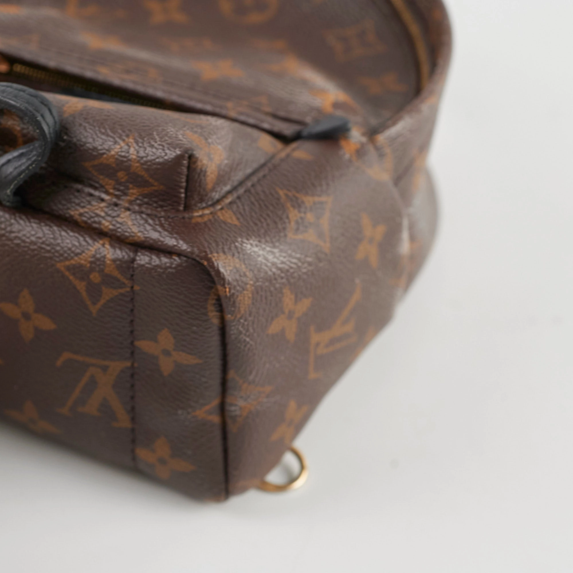 Louis Vuitton Mini Palm Spring Backpack Monogram