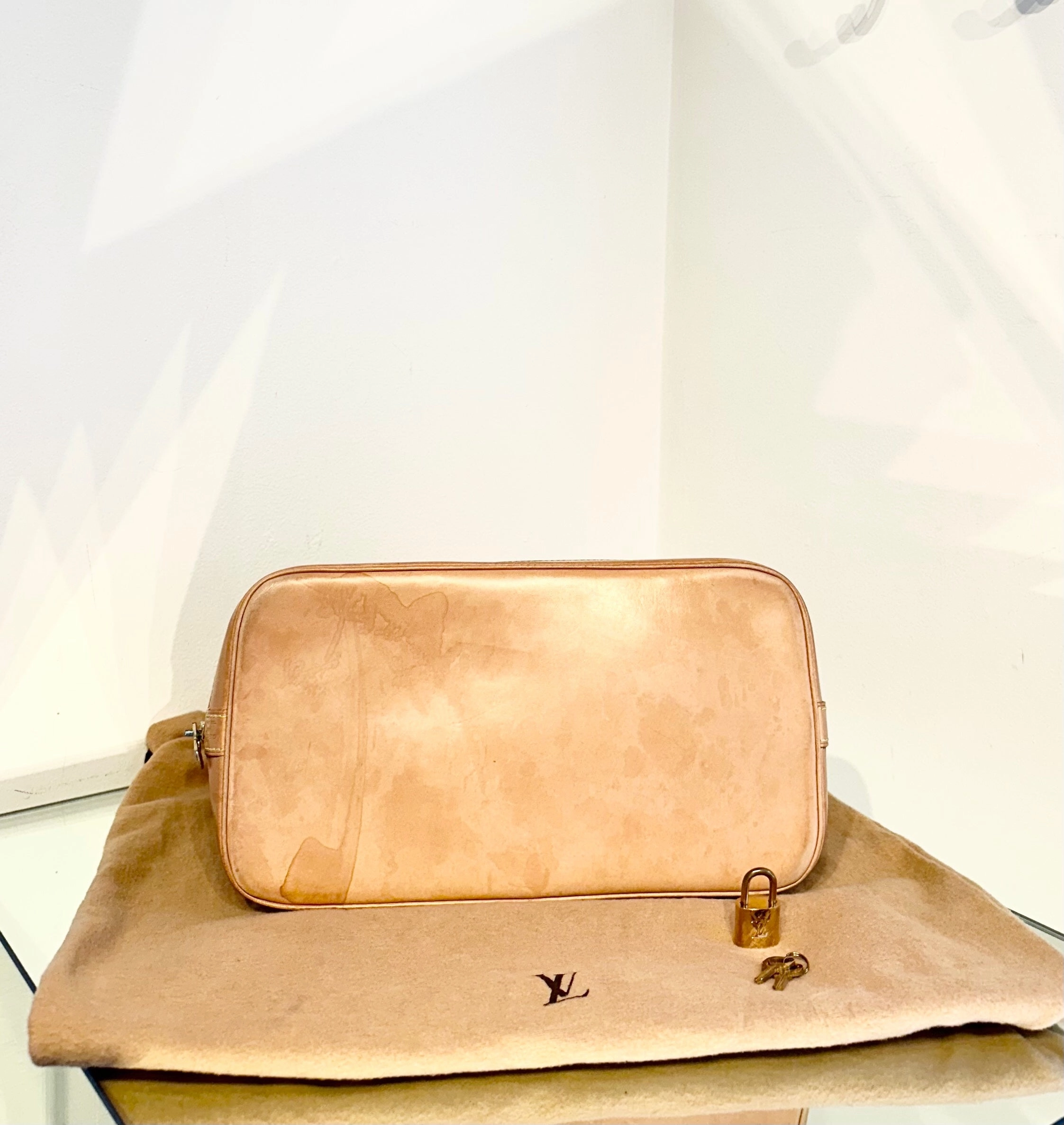 LOUIS VUITTON Monogram Alma PM Bag