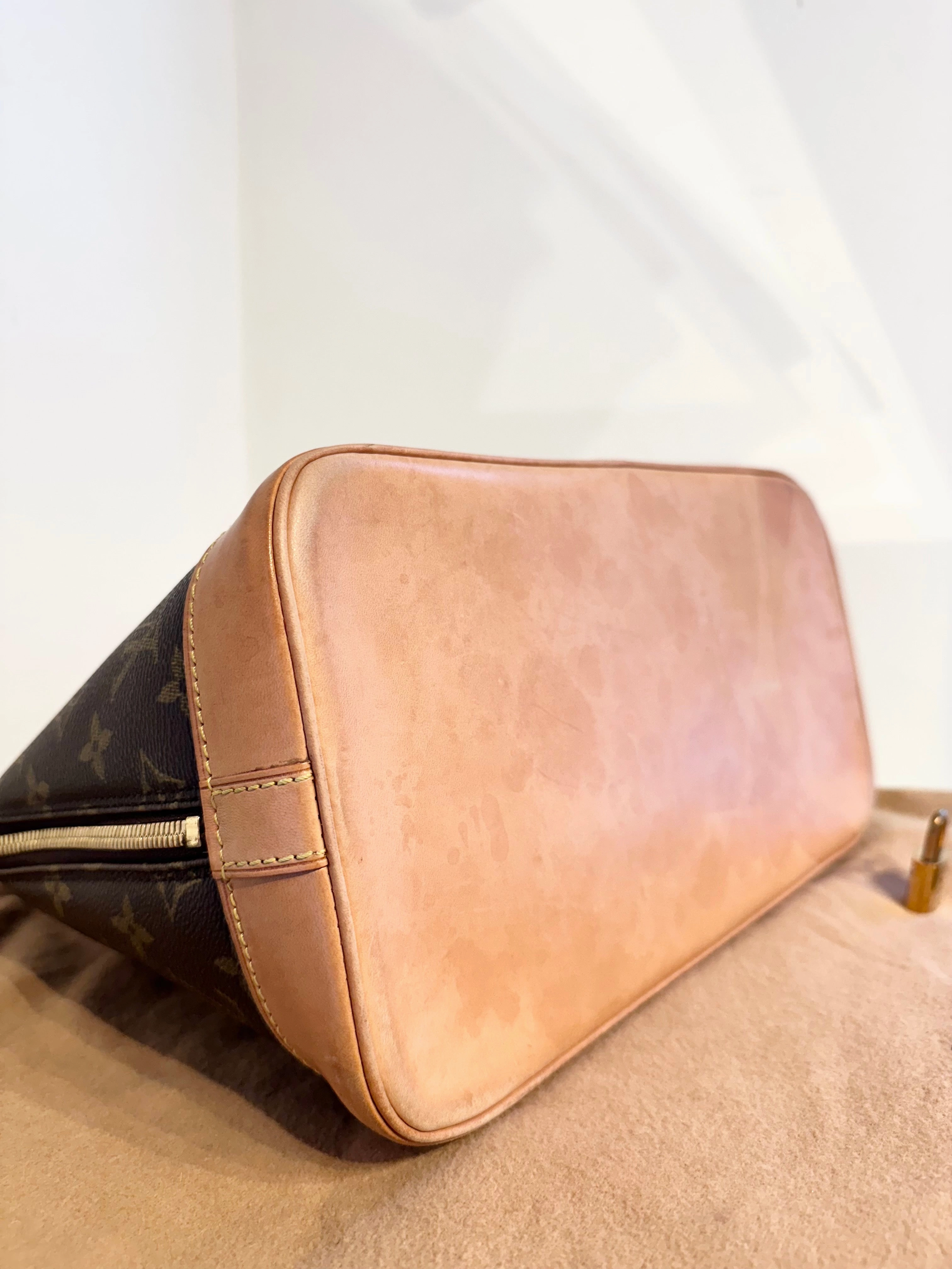 LOUIS VUITTON Monogram Alma PM Bag