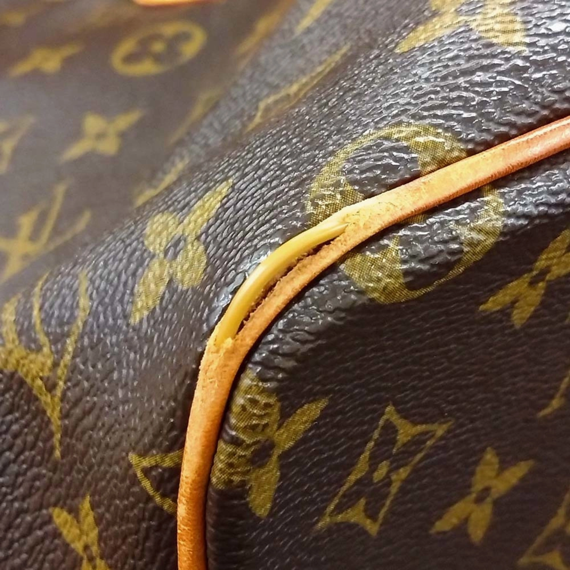 Louis Vuitton  Monogram Shoulder Bag Tote Bag (Pre-Owned)