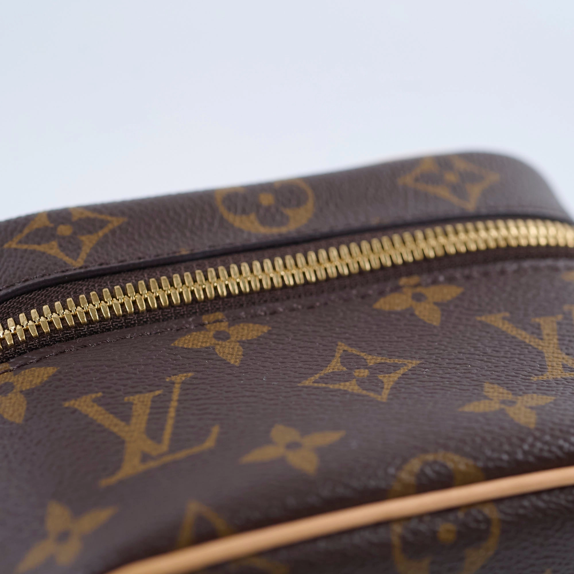 Louis Vuitton Nano Nice Monogram