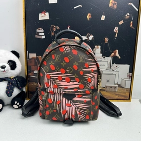 Louis Vuitton Palm Springs Backpack Brown Multicolor