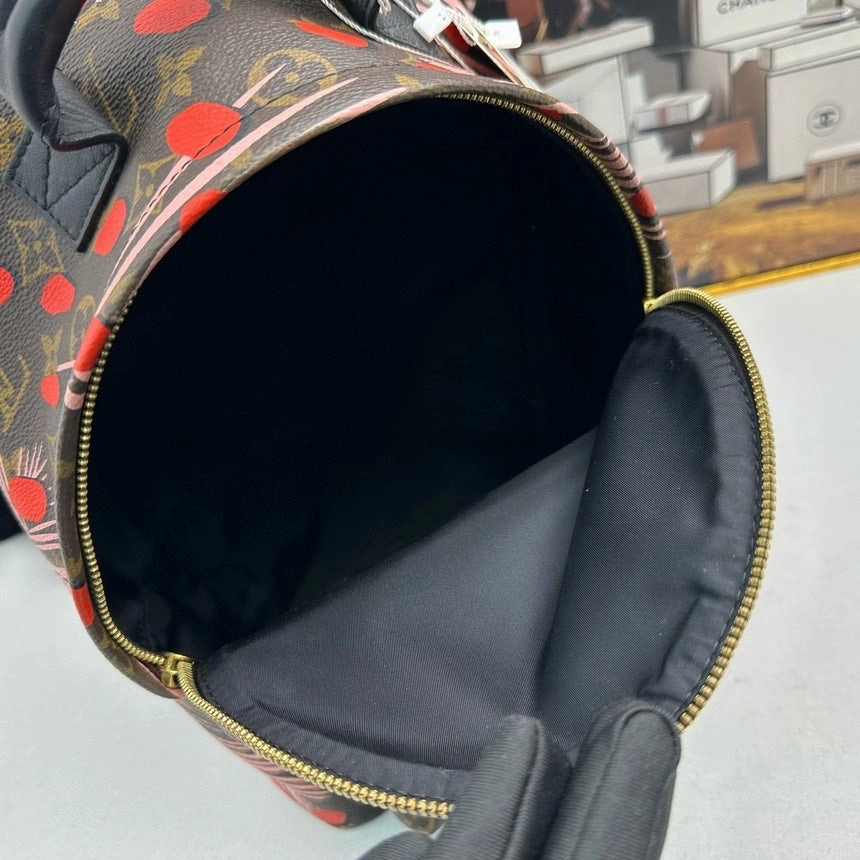 Louis Vuitton Palm Springs Backpack Brown Multicolor