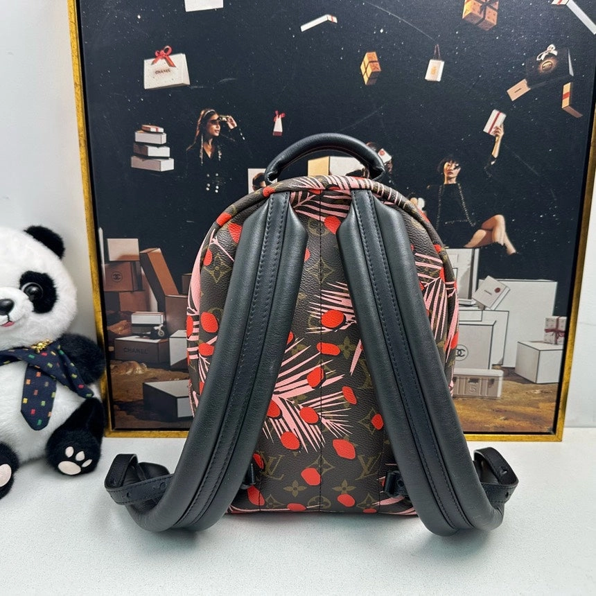 Louis Vuitton Palm Springs Backpack Brown Multicolor