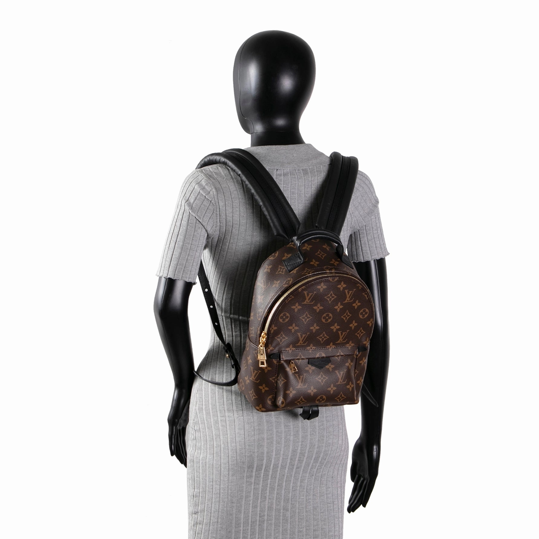 LOUIS VUITTON Palm Springs PM Backpack Monogram