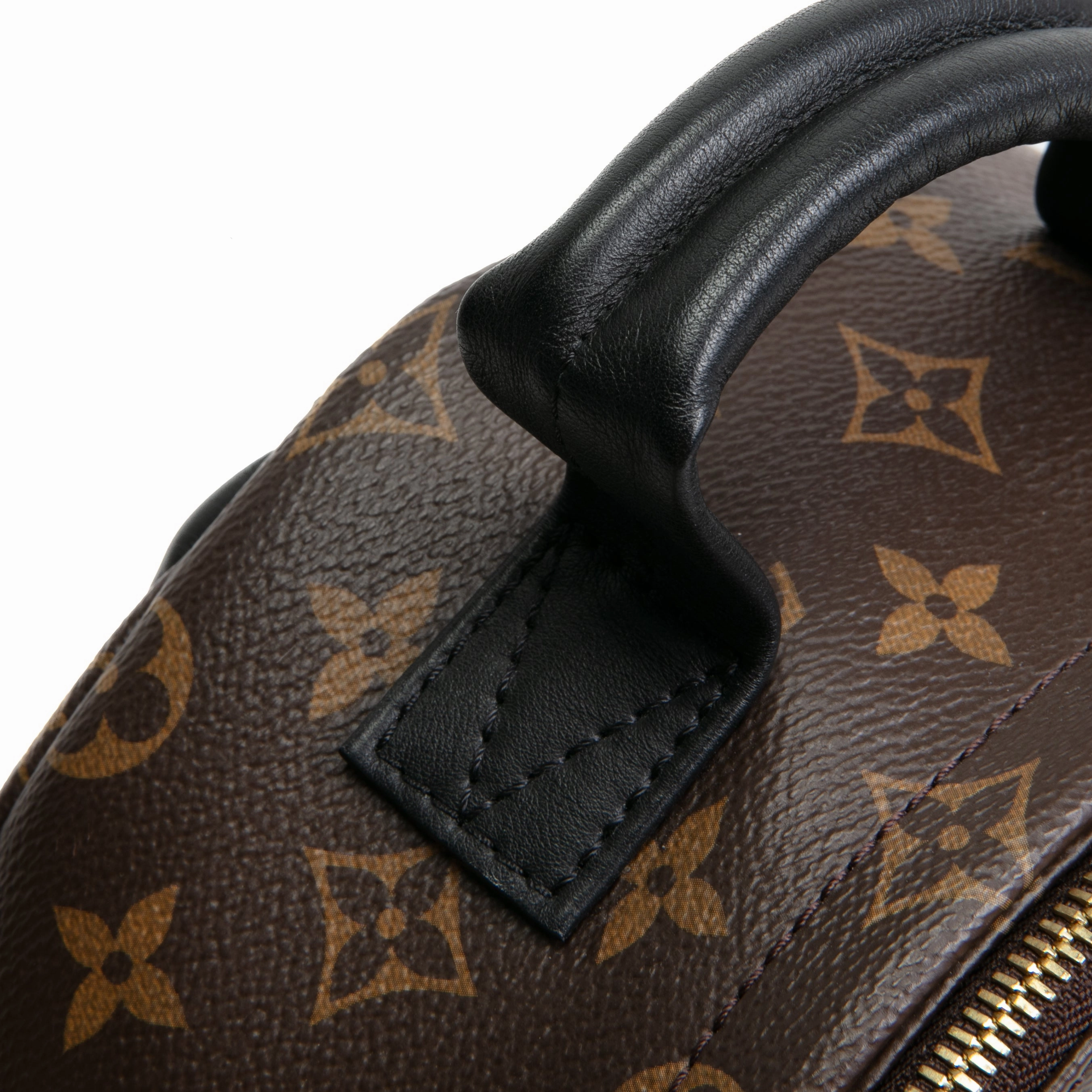 LOUIS VUITTON Palm Springs PM Backpack Monogram
