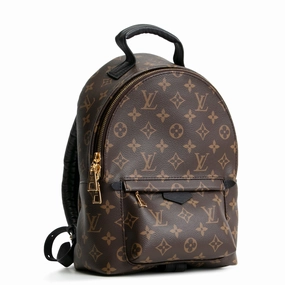 LOUIS VUITTON Palm Springs PM Backpack Monogram