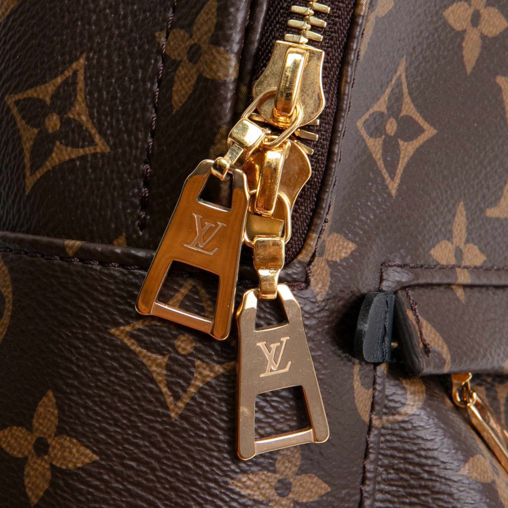 LOUIS VUITTON Palm Springs PM Backpack Monogram