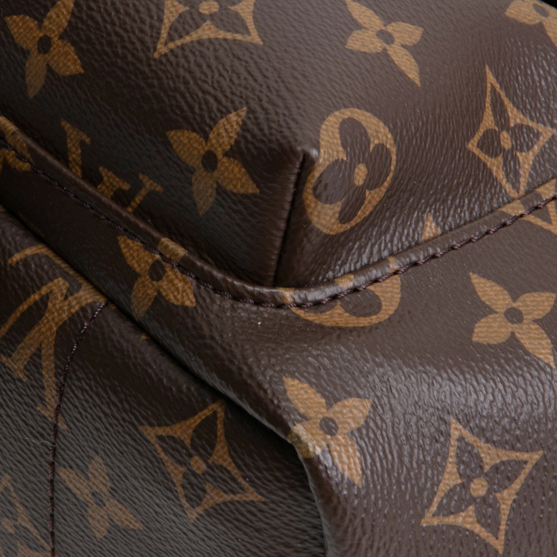 LOUIS VUITTON Palm Springs PM Backpack Monogram
