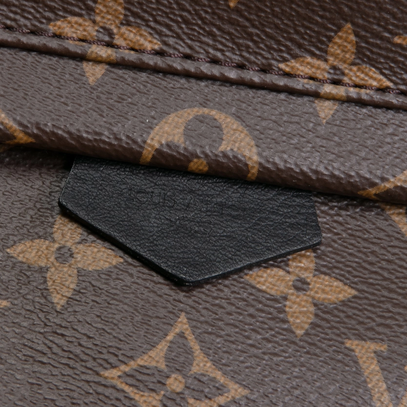 LOUIS VUITTON Palm Springs PM Backpack Monogram