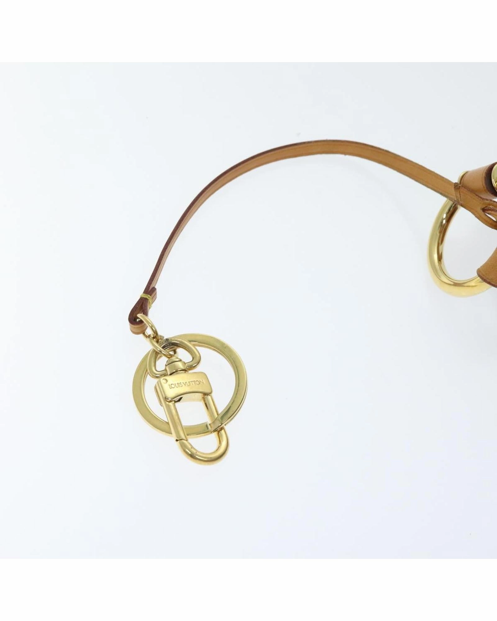 Monogram Delightful PM Shoulder Bag with  Detailing