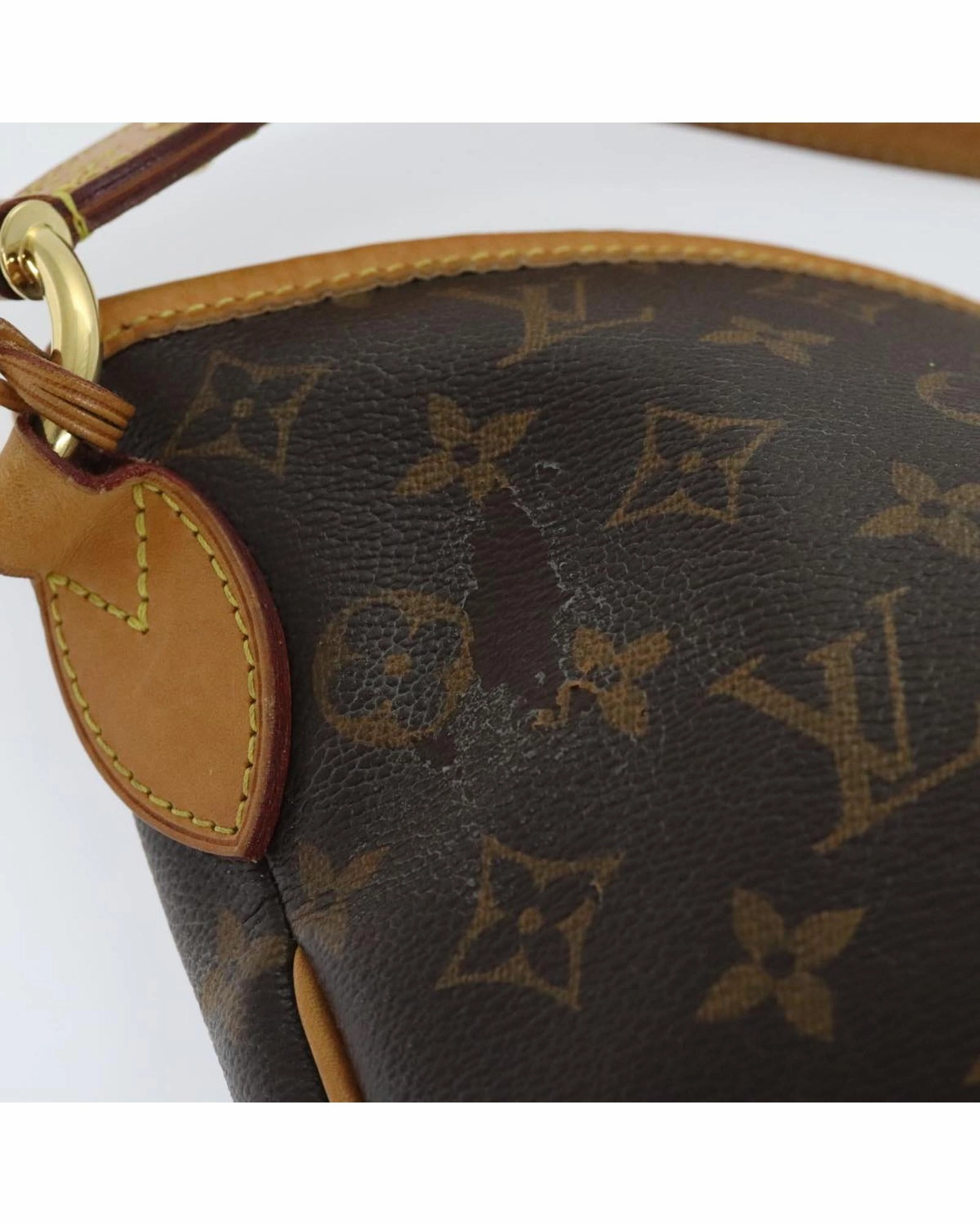 Monogram Delightful PM Shoulder Bag with  Detailing