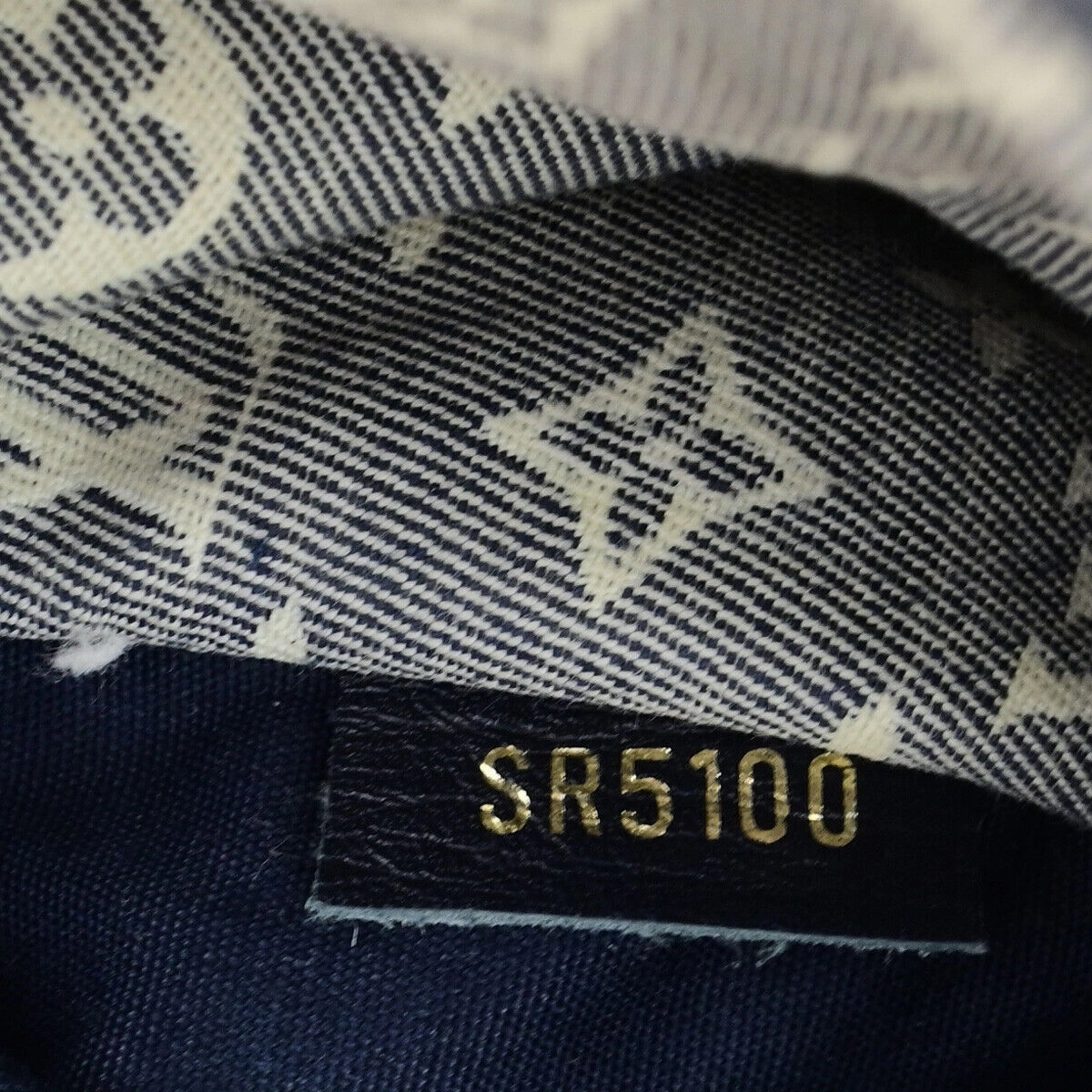Monogram Denim Speedy Shoulder Bag