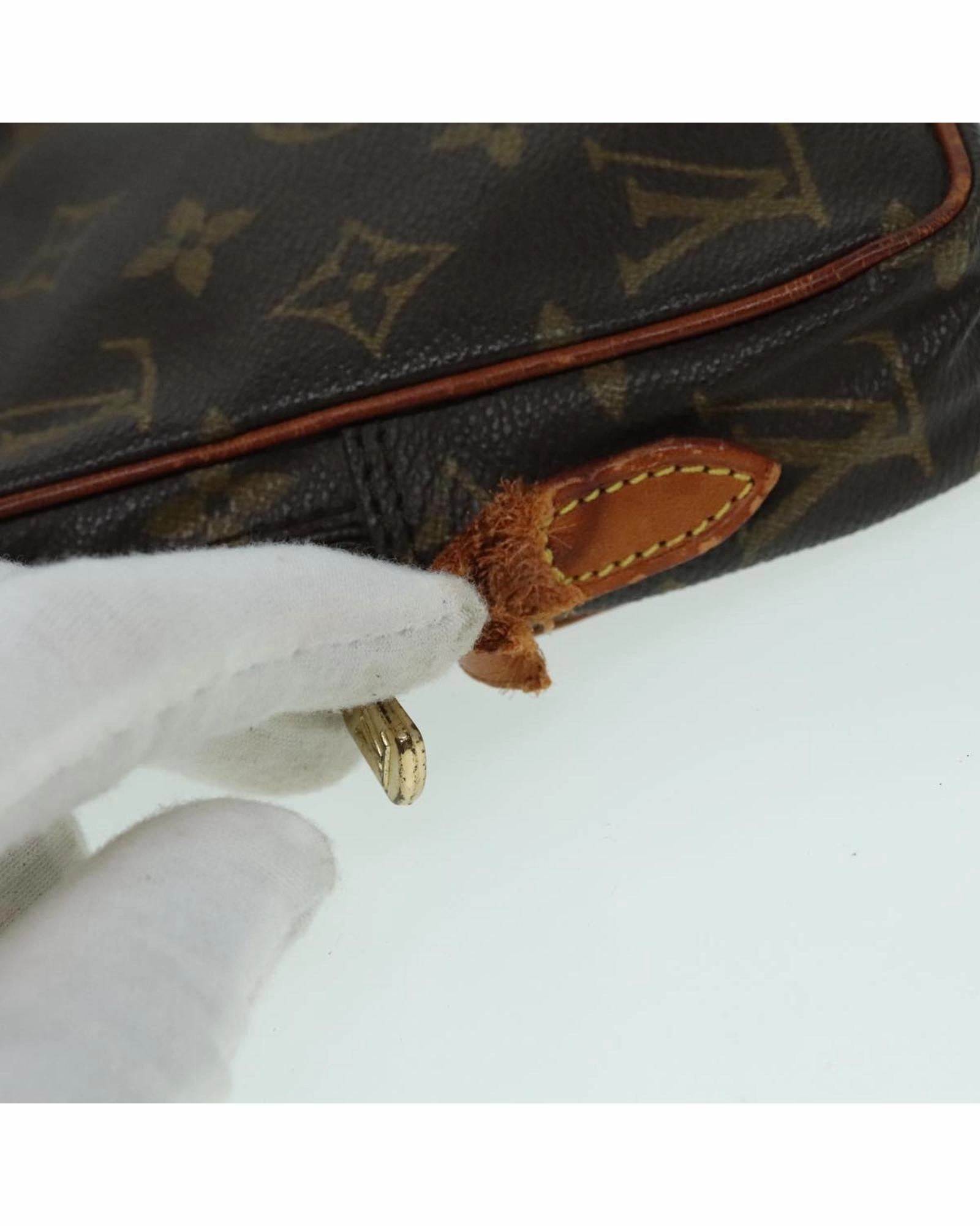 Monogram Mini Danube Shoulder Bag  Luxury