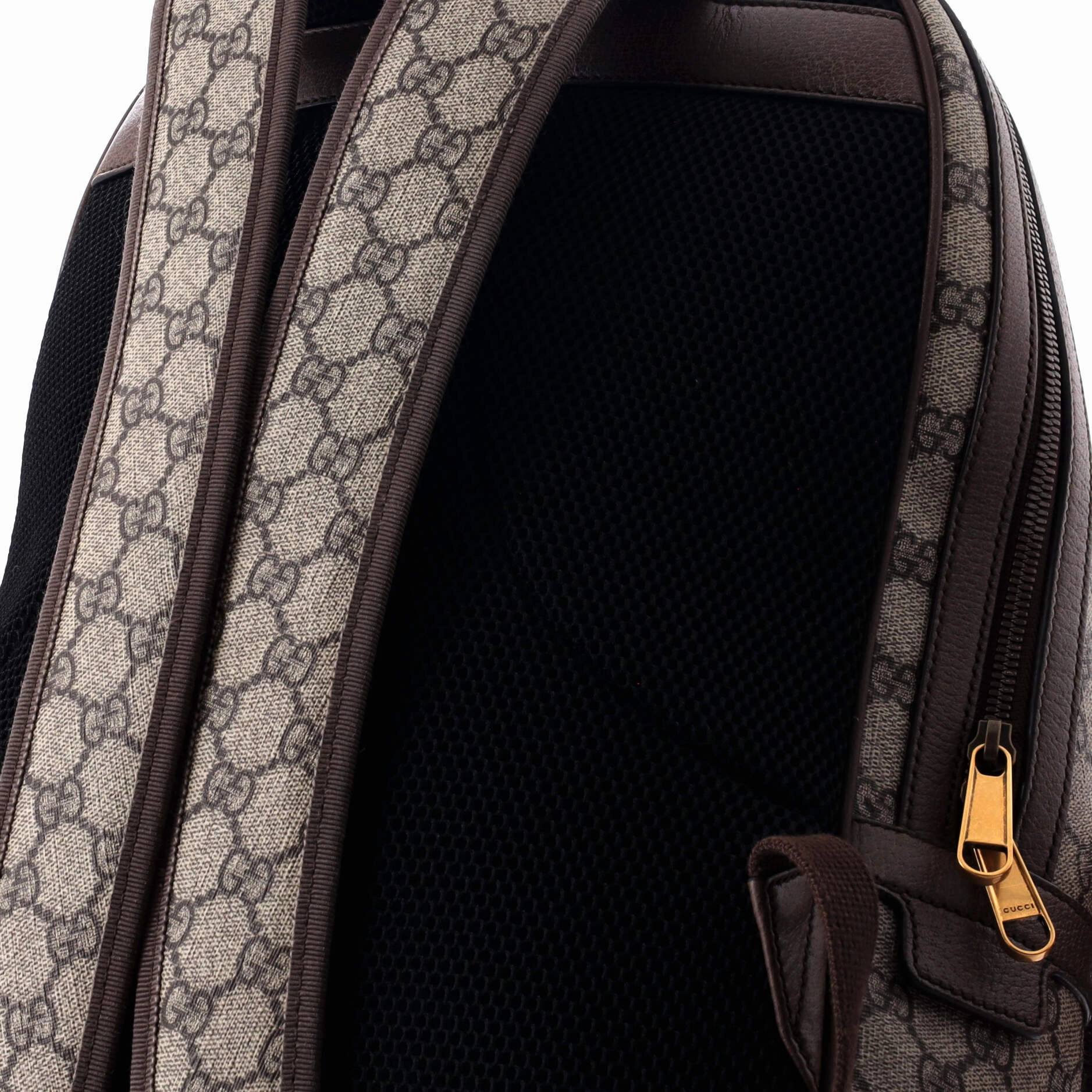 Ophidia Backpack GG Coated Canvas Medium