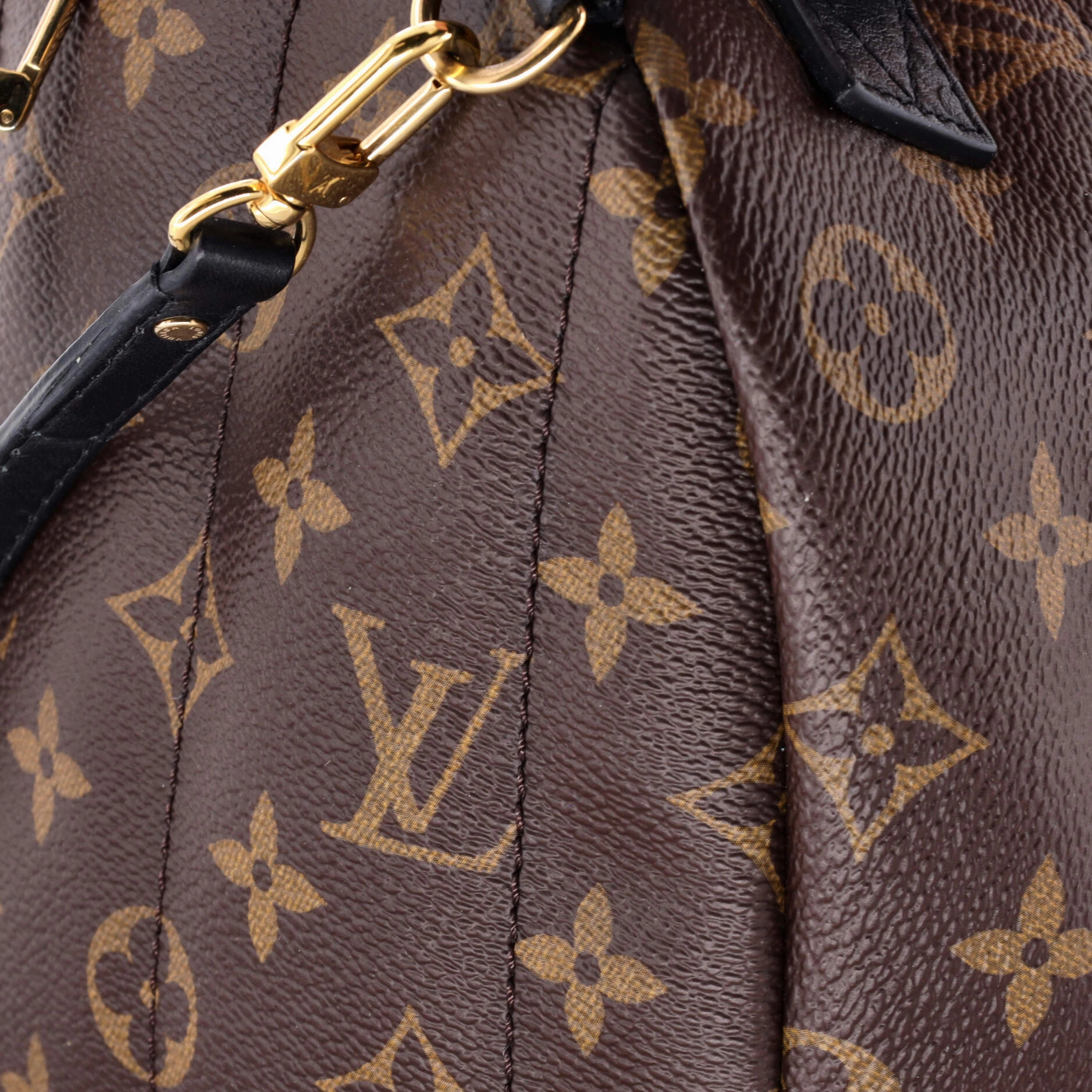 Palm Springs Backpack Monogram Canvas Mini