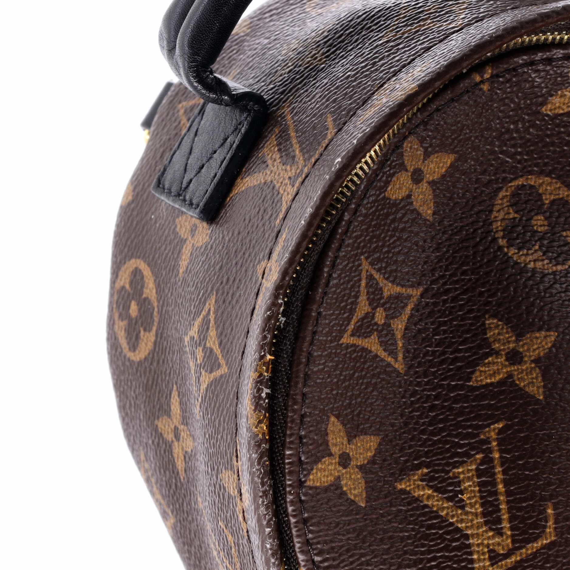 Palm Springs Backpack Monogram Canvas Mini