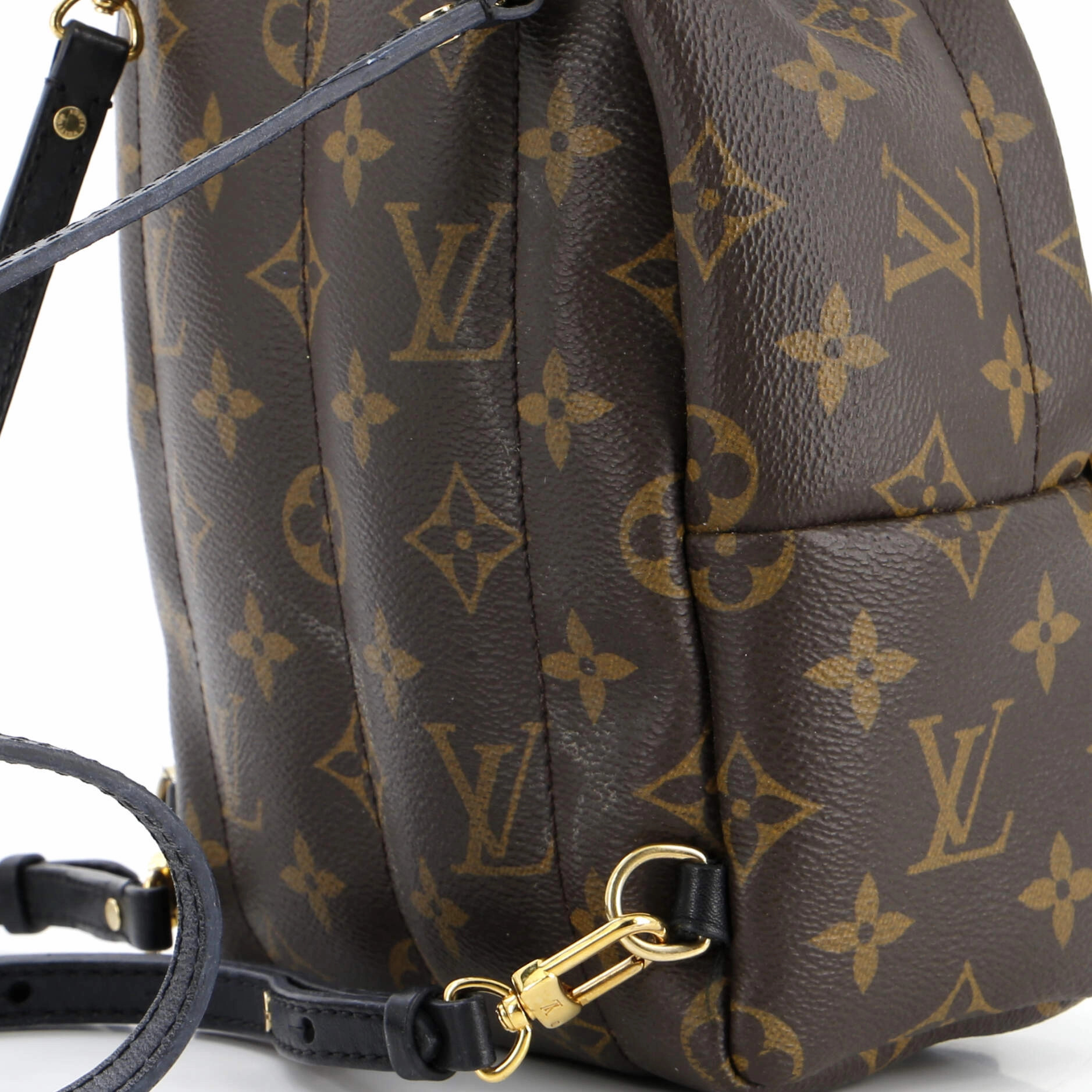 Palm Springs Backpack Monogram Canvas Mini