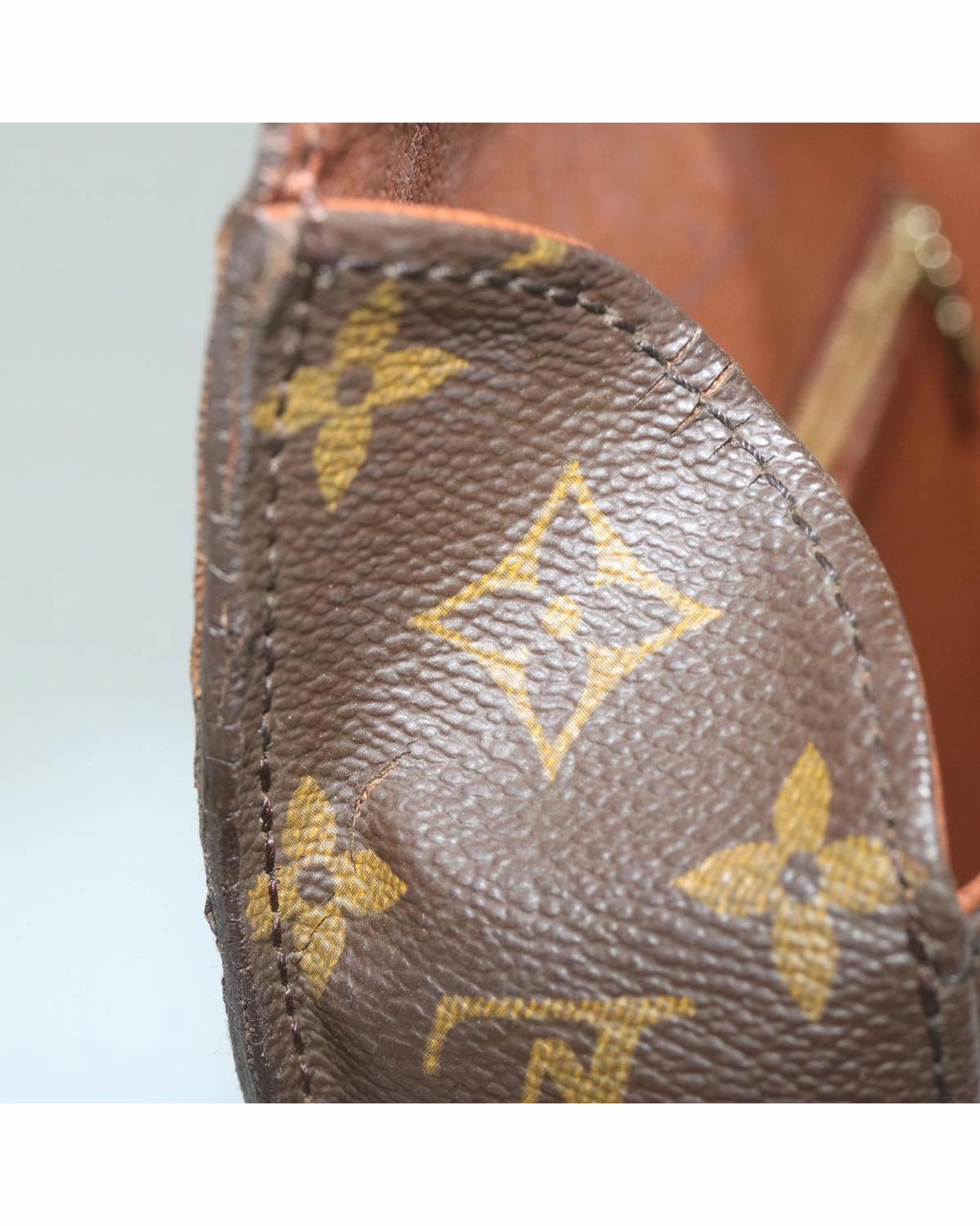 Pochette Monogram Canvas Shoulder Bag