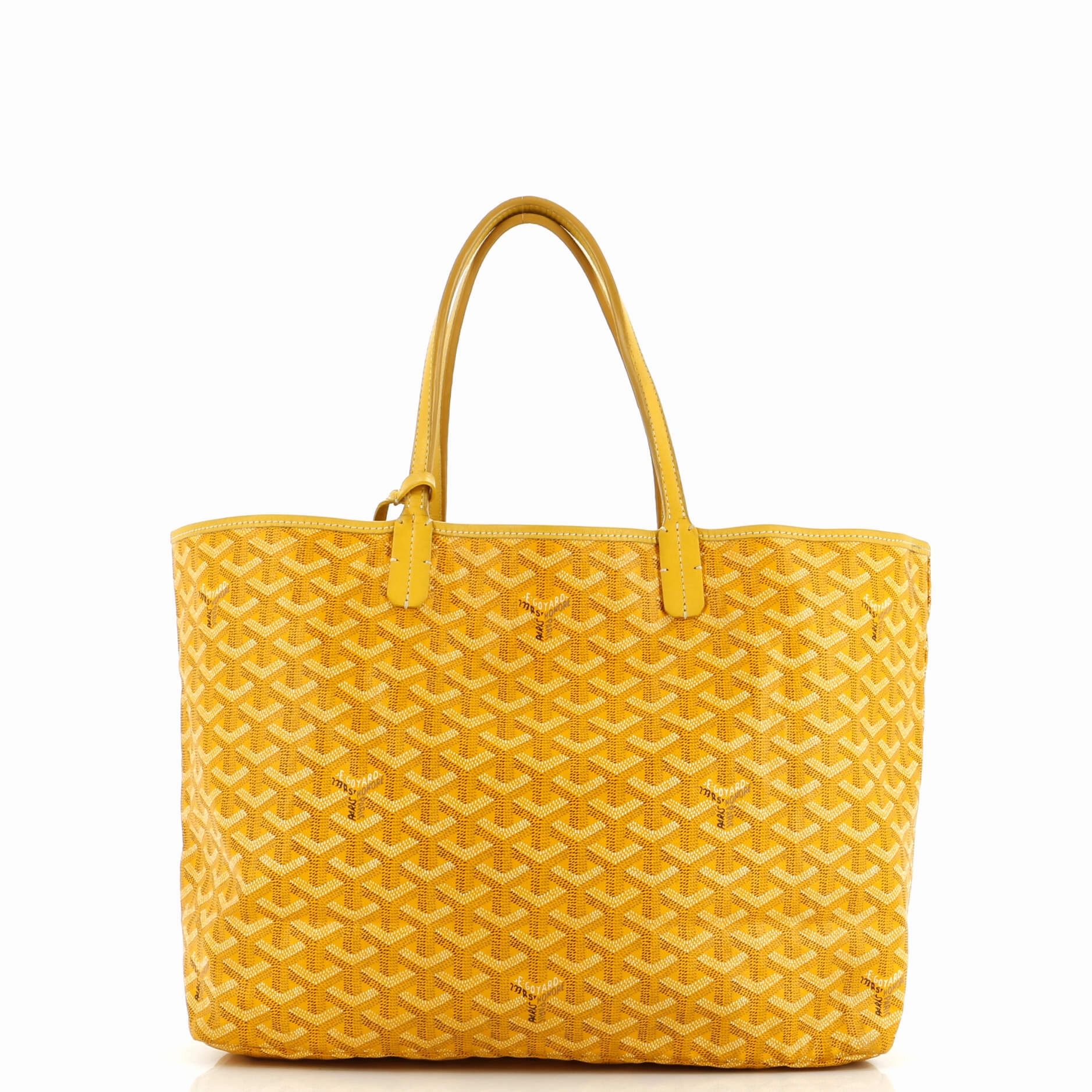 Saint Louis Tote Coated Canvas PM
