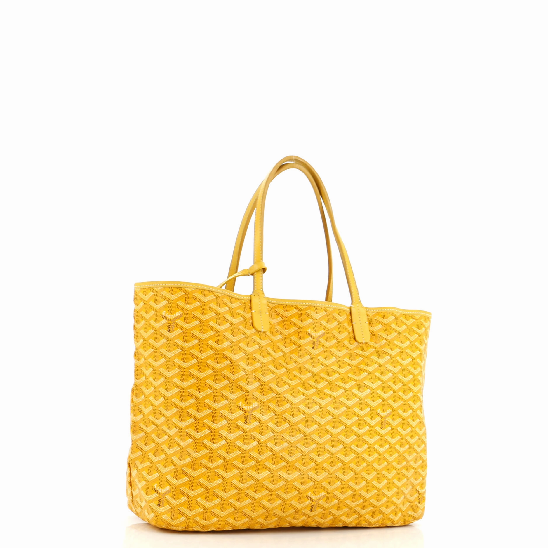 Saint Louis Tote Coated Canvas PM