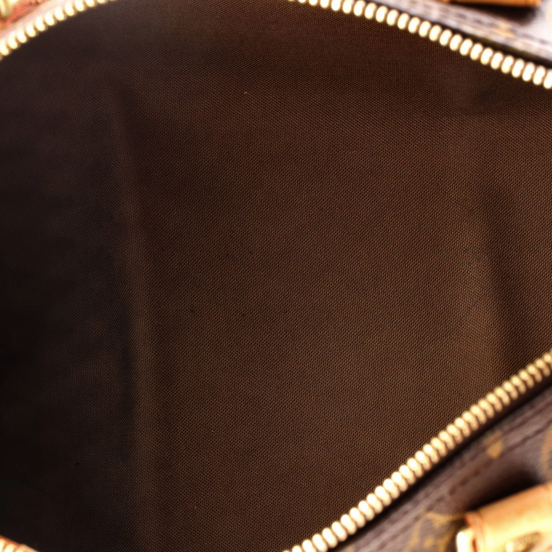 Speedy Handbag Monogram Canvas 30