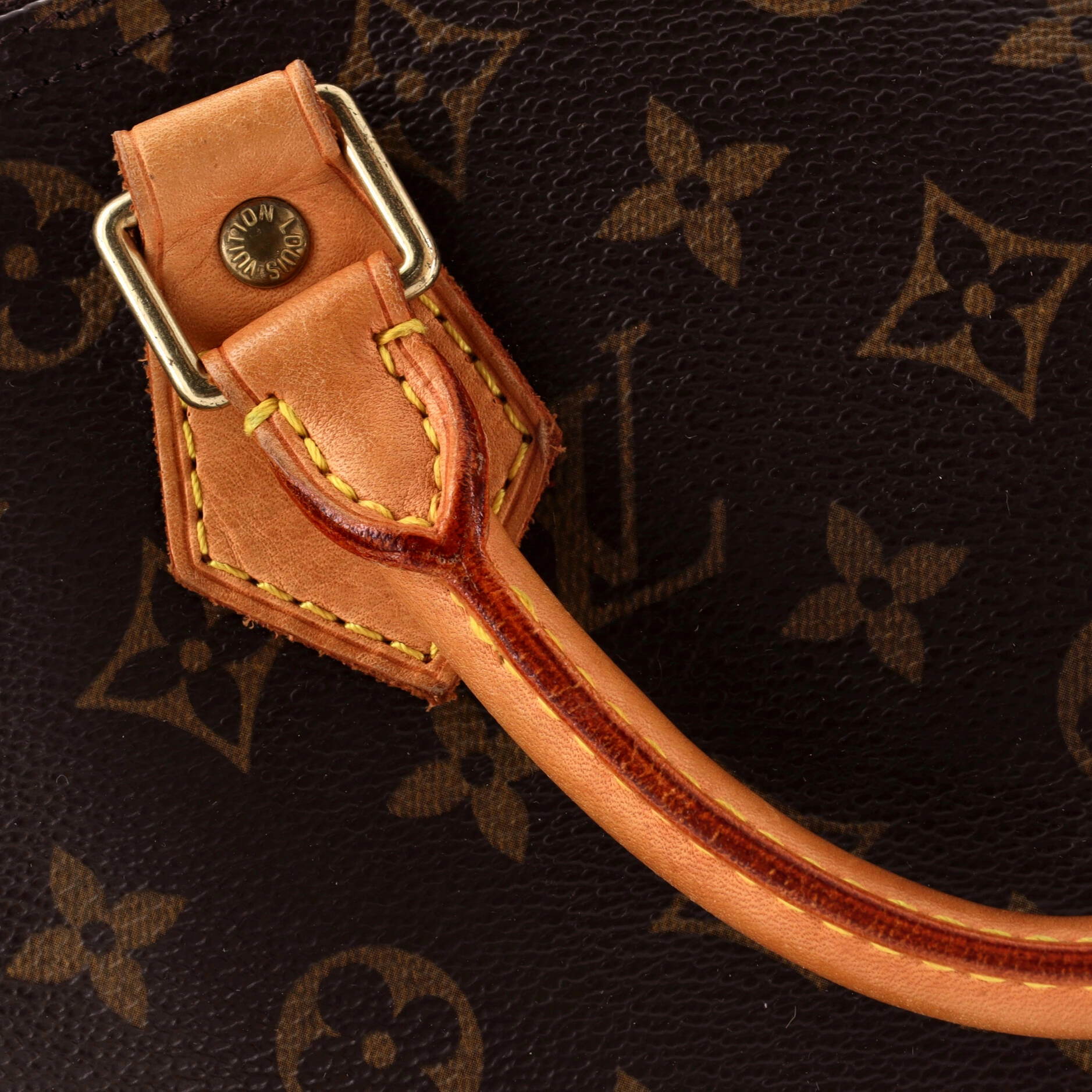 Speedy Handbag Monogram Canvas 30