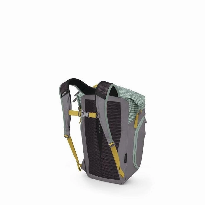 Transporter Zinch